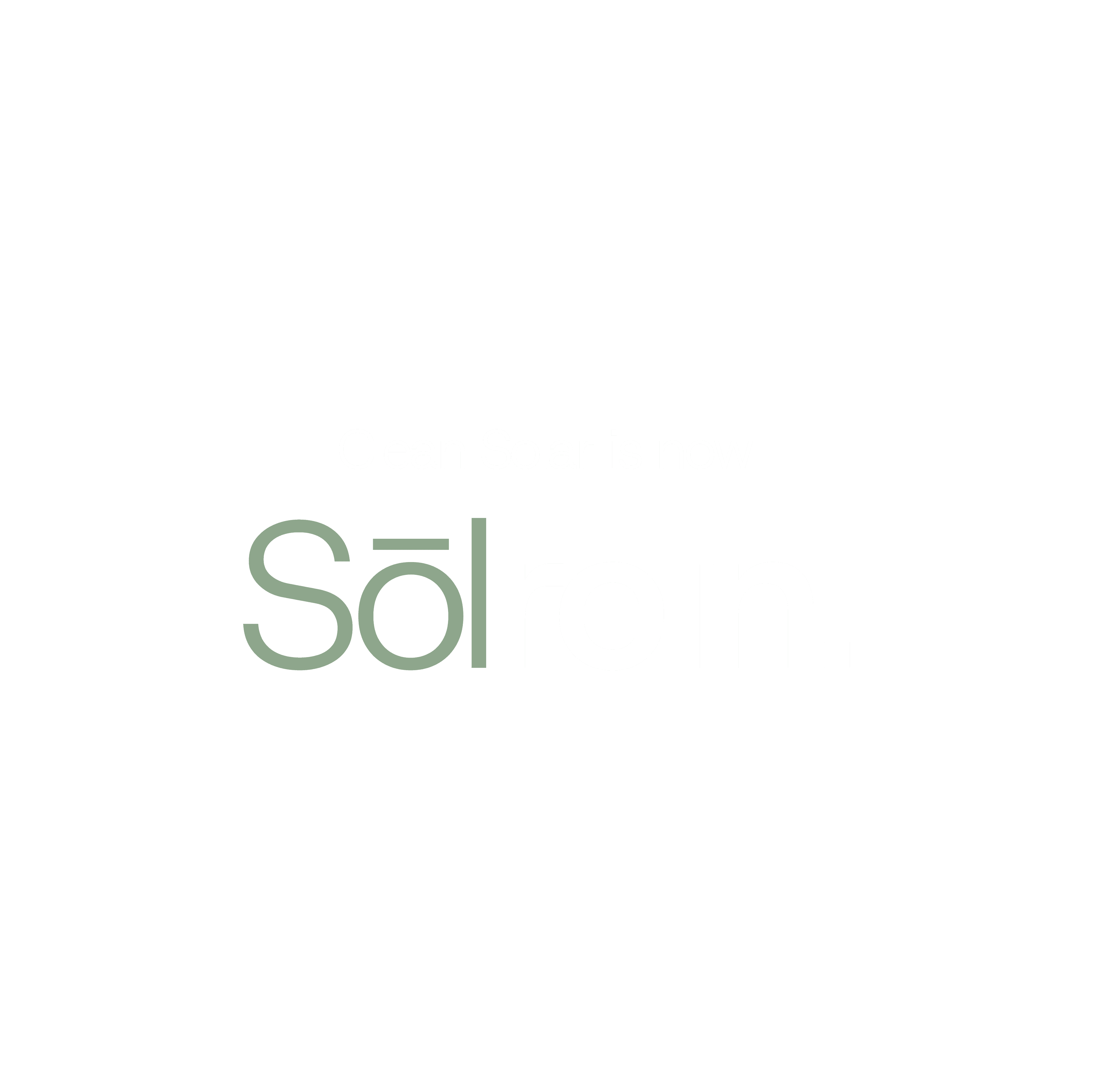 Clean Solar is now Sōlrein